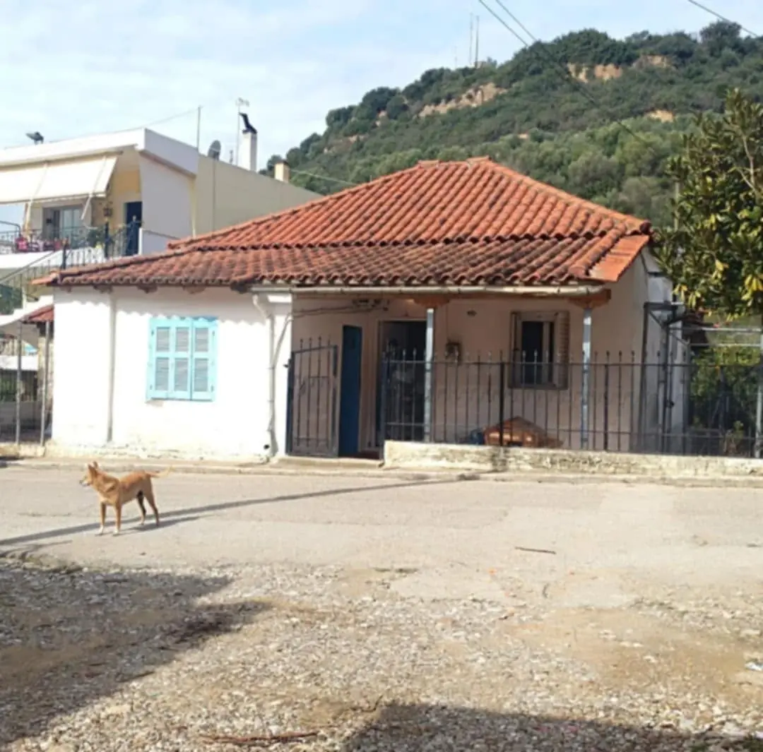 Detached house for sale in Varvasena, Ilia — 2/4