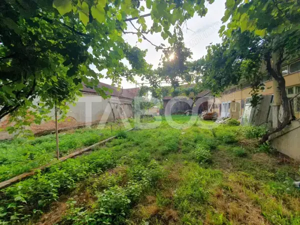 Casa de vanzare in Mandra 140 mp utili curte sura anexe 3 beciuri — 7/8