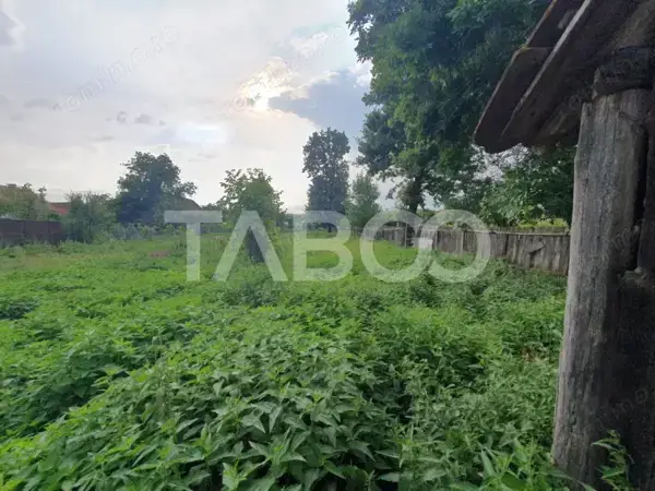 Casa de vanzare in Mandra 140 mp utili curte sura anexe 3 beciuri — 8/8