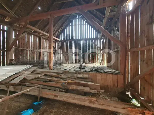 Casa de vanzare in Mandra 140 mp utili curte sura anexe 3 beciuri — 6/8