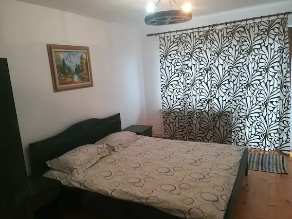 Vând casa( afacere) în Belis — 7/8
