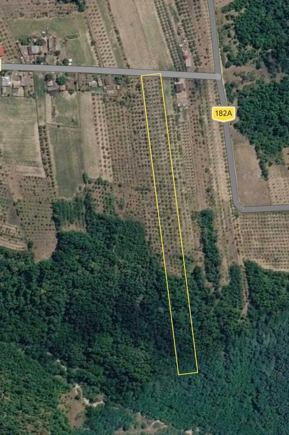 9,177 m² land with orchard for sale in Ceretu, Vâlcea — 2/4