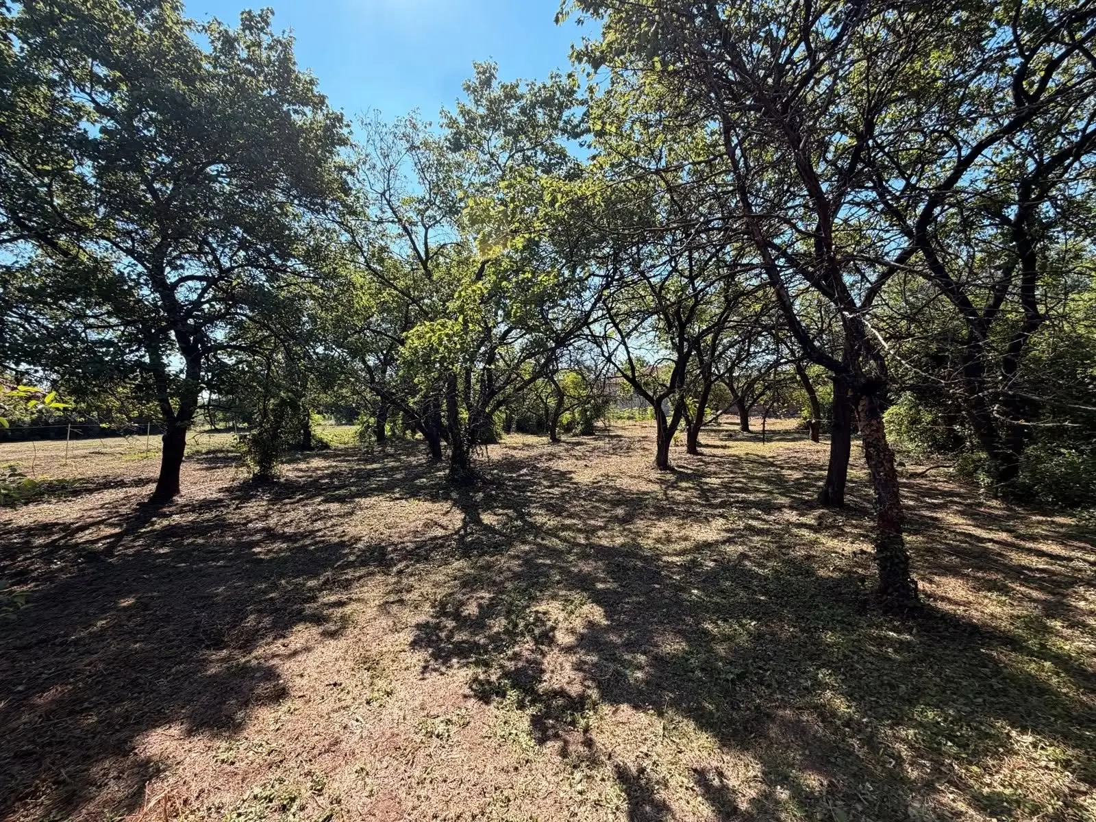 Character country house with 4,000 m² plot for sale in Vabel — 9/9