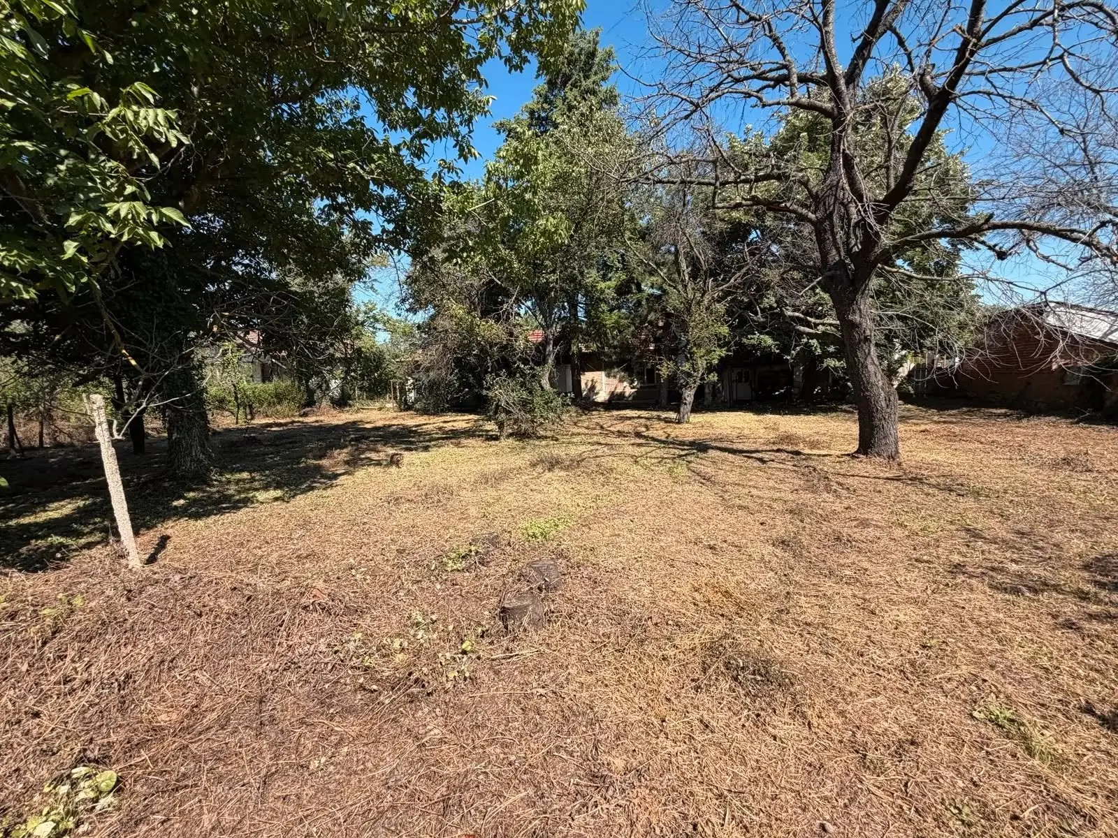 Character country house with 4,000 m² plot for sale in Vabel — 3/9