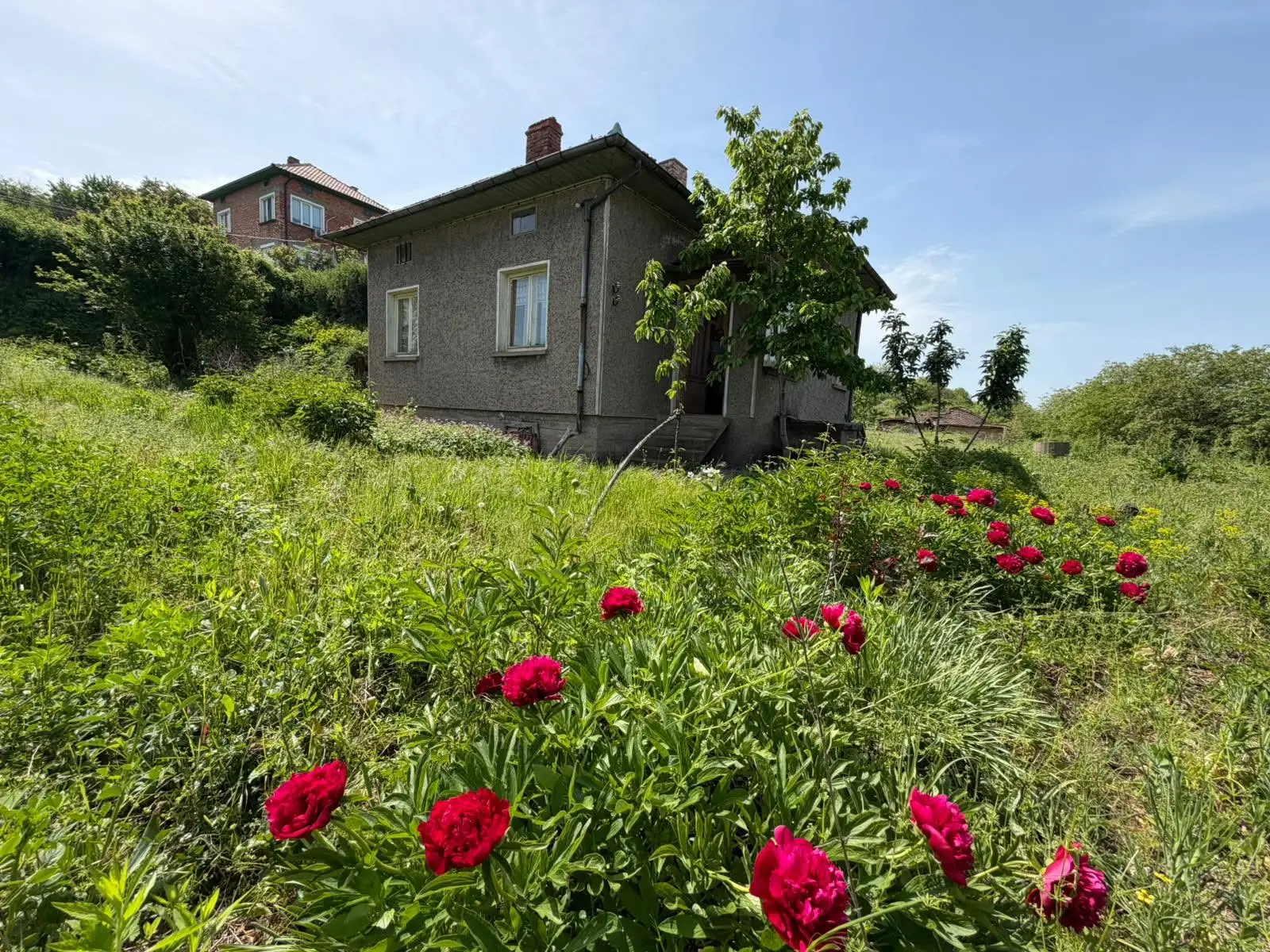 House with panoramic Danube views and 3,000 m² plot in Nikopol — 2/7