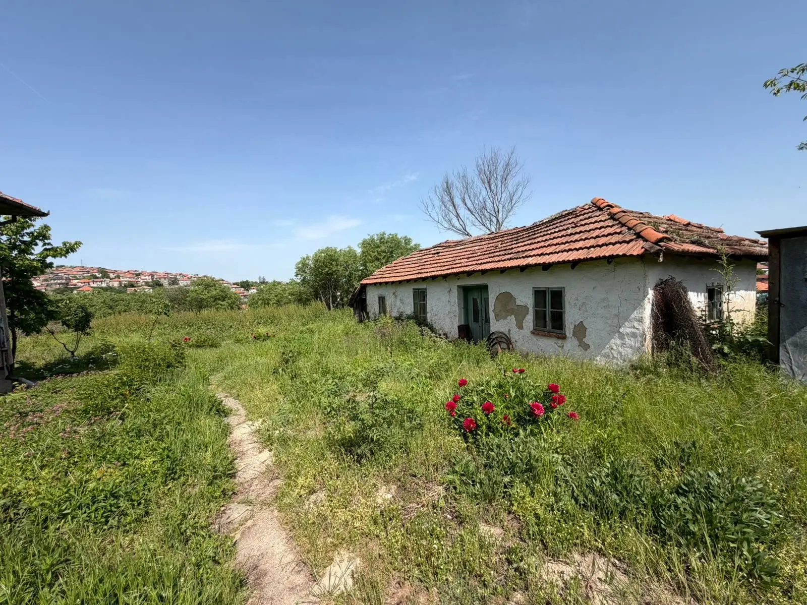 House with panoramic Danube views and 3,000 m² plot in Nikopol — 3/7