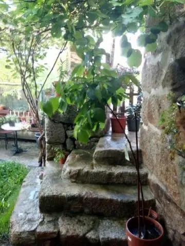 Semi-detached , partially renovated cottage, with garden and bodegas — 5/5