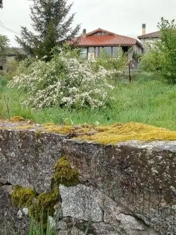 Semi-detached , partially renovated cottage, with garden and bodegas — galicia, Espagne