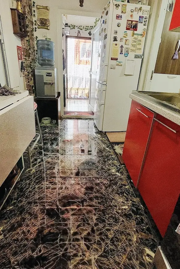 Proprietar vând casă 2 camere, 2 băi, Sector 6 (curte comună), parțial mobilată,preț negociabil — 6/10