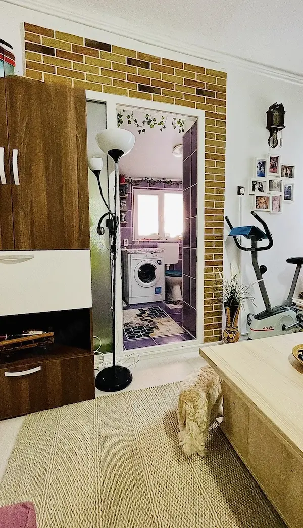 Proprietar vând casă 2 camere, 2 băi, Sector 6 (curte comună), parțial mobilată,preț negociabil — 4/10