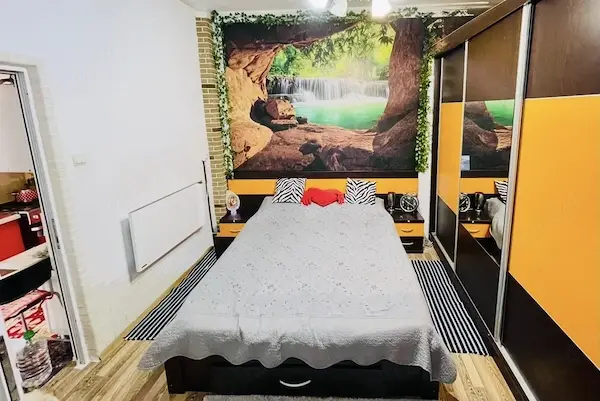 Proprietar vând casă 2 camere, 2 băi, Sector 6 (curte comună), parțial mobilată,preț negociabil — 7/10