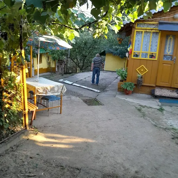 Casă bătrânească de vânzare + 6700 mp, Cozia, jud. Iași — 9/10