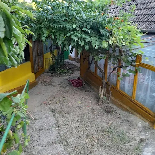 Casă bătrânească de vânzare + 6700 mp, Cozia, jud. Iași — 3/10