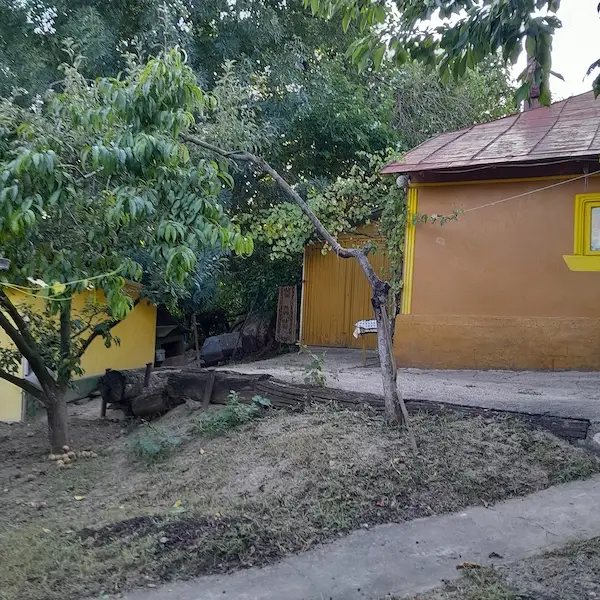 Casă bătrânească de vânzare + 6700 mp, Cozia, jud. Iași — 5/10
