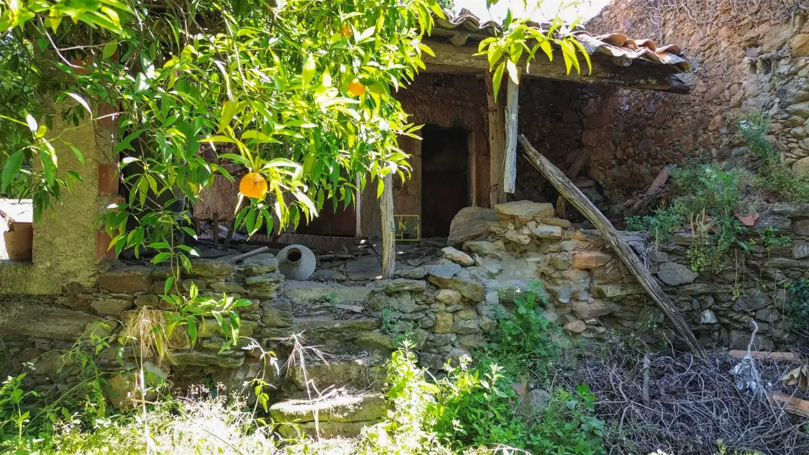 A traditional stone house ready for a new chapter in Central Portugal — 2/3