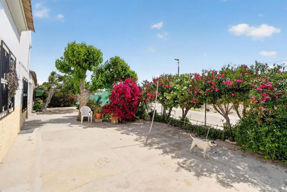 3 Bedroom Finca For Sale In Orihuela — 5/10