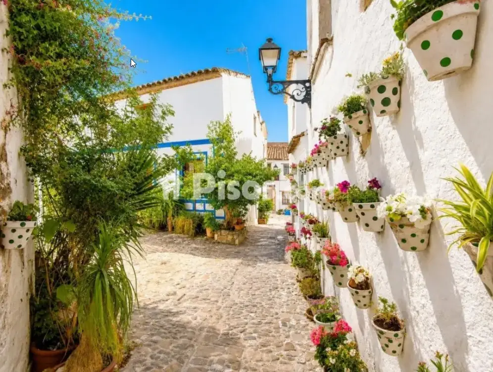 4-bedroom townhouse for long-term rent in Cabo de las Huertas, Alicante — 3/6