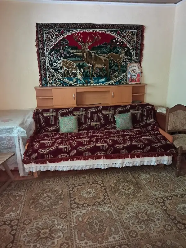 Vând casa cu teren — 4/4