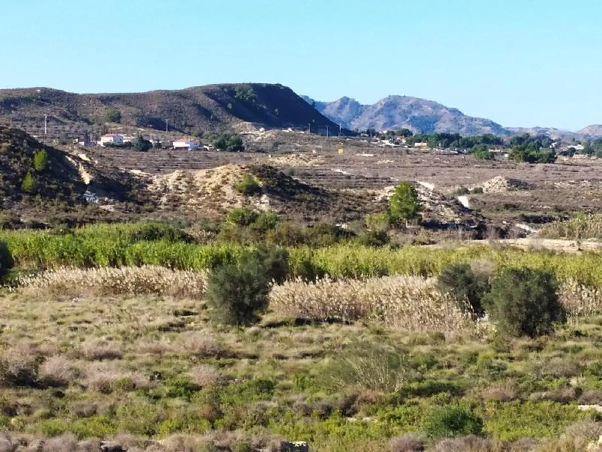 Finca for sale in Cañadas de San Pedro — 4/7