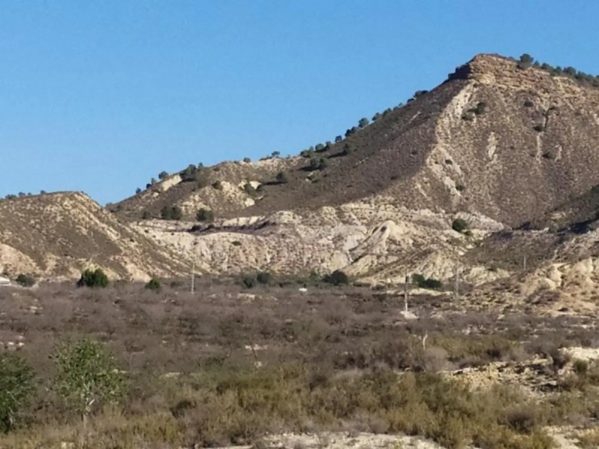 Finca for sale in Cañadas de San Pedro — 2/7