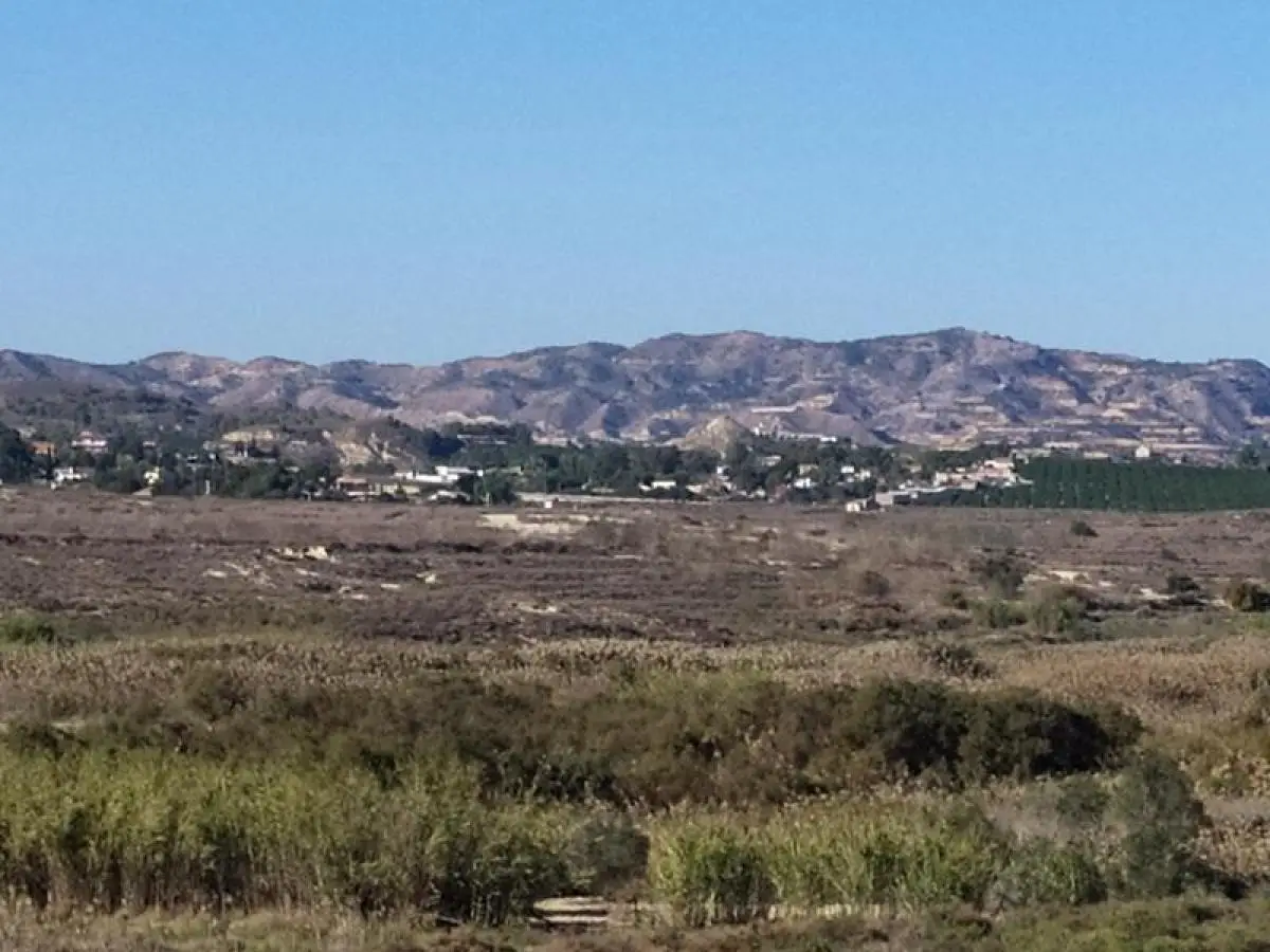 Finca for sale in Cañadas de San Pedro — 3/7
