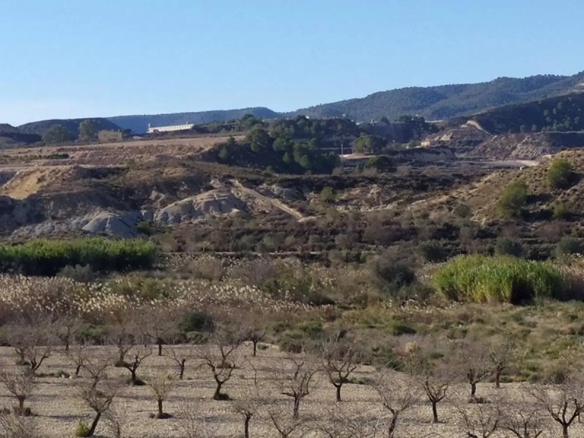 Finca for sale in Cañadas de San Pedro — 5/7